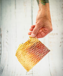 Kopfhautplatte groß