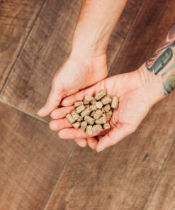 Trainingssnacks Ente