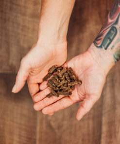 Entensnacks mit Birne